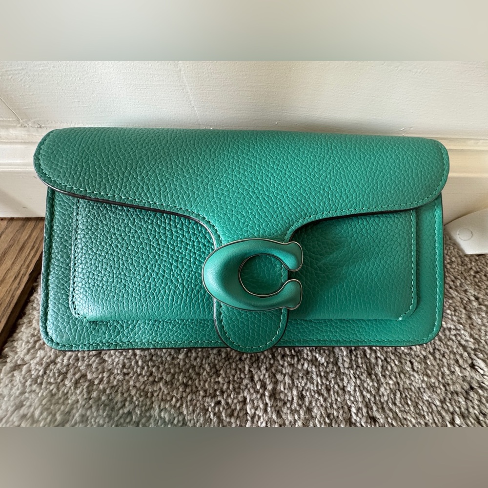 🦚 Coach CJ350 Tabby Chain Clutch
